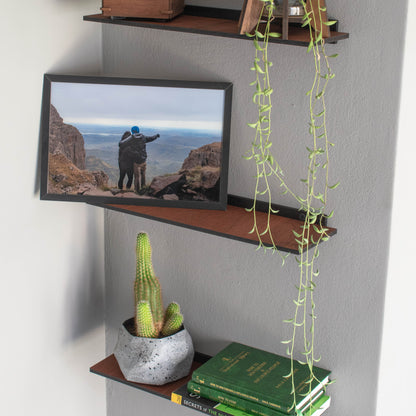 Floating Display Shelves (set of 3)
